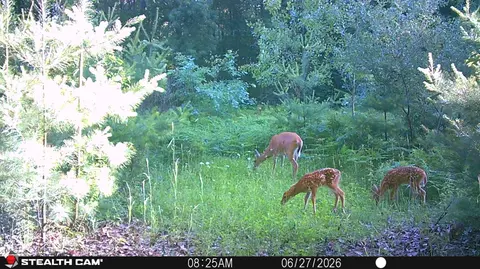 Other - 1585 Clinton Ln, White Cloud, MI 49349 photo 18 of 29