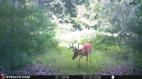 Other - 1585 Clinton Ln, White Cloud, MI 49349 photo 20 of 29