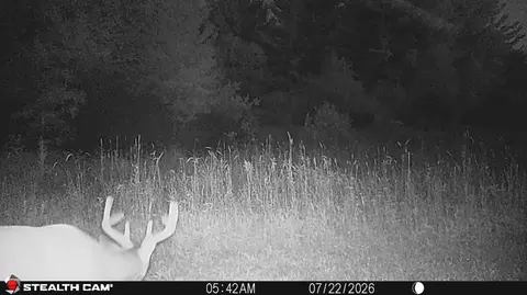 Other - 1585 Clinton Ln, White Cloud, MI 49349 photo 17 of 29