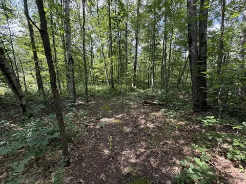 Exterior - 1585 Clinton Ln, White Cloud, MI 49349 photo 11 of 13