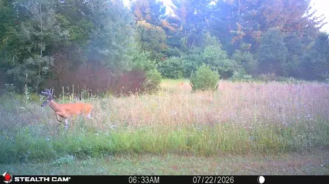 Other - 1585 Clinton Ln, White Cloud, MI 49349 photo 19 of 29