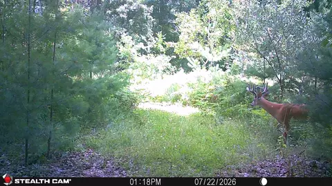 Other - 1585 Clinton Ln, White Cloud, MI 49349 photo 5 of 29