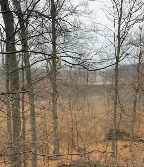 N Q Drive, Marshall, MI 49068 photo 62