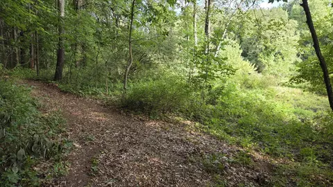 N Q Drive, Marshall, MI 49068 photo 37