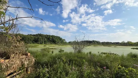 N Q Drive, Marshall, MI 49068 photo 23