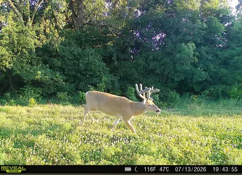 N Q Drive, Marshall, MI 49068 photo 63