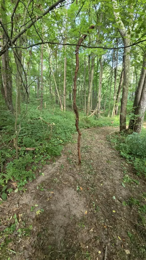 N Q Drive, Marshall, MI 49068 photo 38