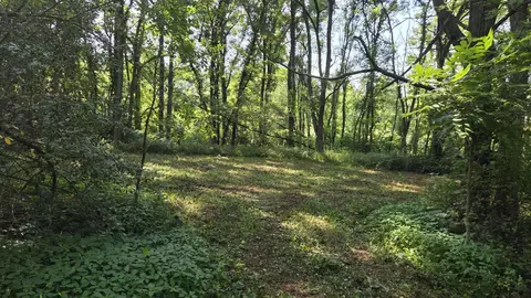 N Q Drive, Marshall, MI 49068 photo 43