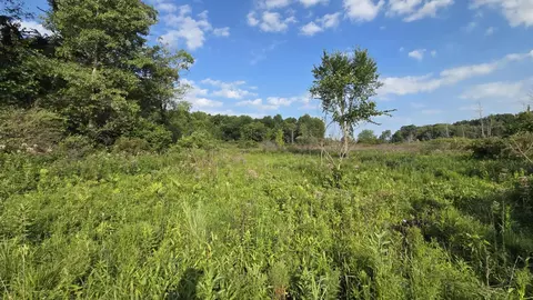 N Q Drive, Marshall, MI 49068 photo 31
