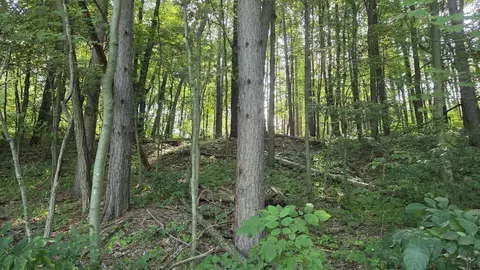 N Q Drive, Marshall, MI 49068 photo 51
