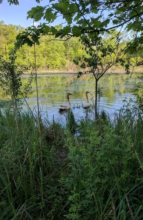N Q Drive, Marshall, MI 49068 photo 26