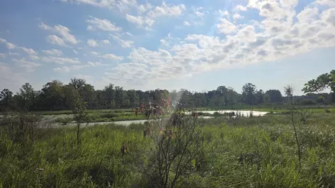 N Q Drive, Marshall, MI 49068 photo 28