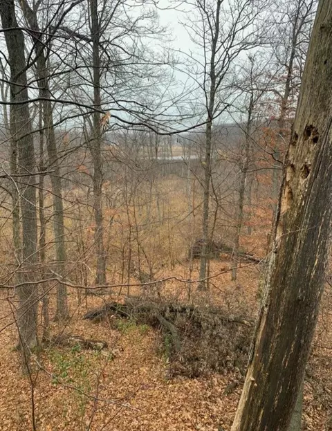 N Q Drive, Marshall, MI 49068 photo 61