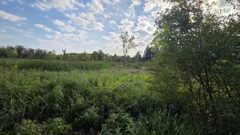 N Q Drive, Marshall, MI 49068 photo 30