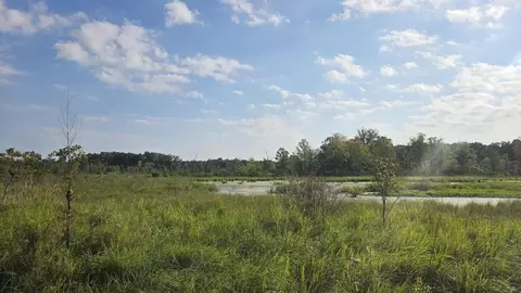 N Q Drive, Marshall, MI 49068 photo 21