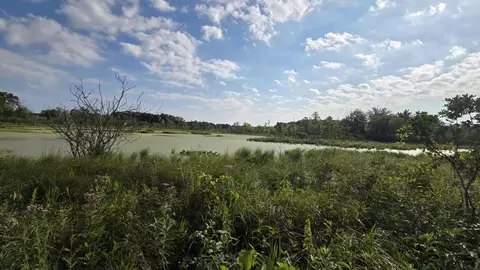 N Q Drive, Marshall, MI 49068 photo 29