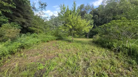 N Q Drive, Marshall, MI 49068 photo 44