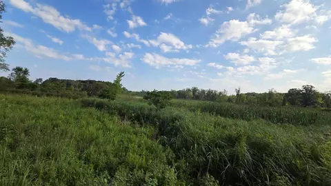 N Q Drive, Marshall, MI 49068 photo 35