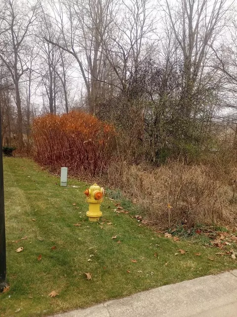 4093 Libbie Dr, Clio, MI 48420 photo 2