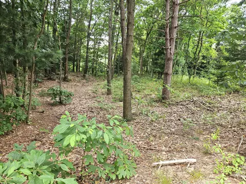 38050 78th St, Covert, MI 49043 photo 2