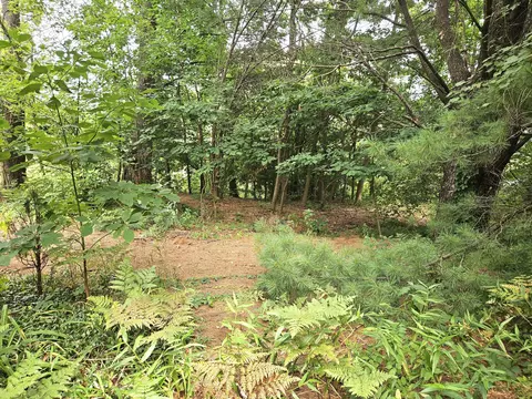38050 78th St, Covert, MI 49043 photo 4