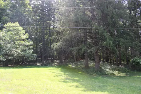 Exterior - 3444 E Pineview Dr, Dexter, MI 48130 photo 6 of 7