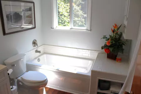 Bath - 3444 E Pineview Dr, Dexter, MI 48130 photo 2 of 3