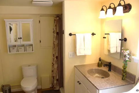 Bath - 3444 E Pineview Dr, Dexter, MI 48130 photo 3 of 3