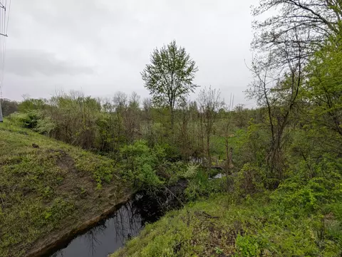 View/Area - 0 Vl White St, Cassopolis, MI 49031 photo 5 of 5