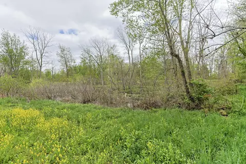 Exterior - 0 Vl White St, Cassopolis, MI 49031 photo 1 of 5