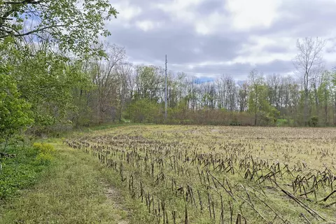 Other - 0 Vl White St, Cassopolis, MI 49031 photo 3 of 5