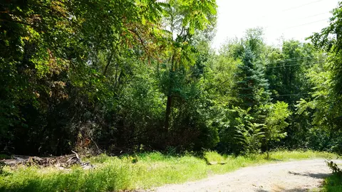 Other - 433 E South St, Jackson, MI 49203 photo 3 of 3