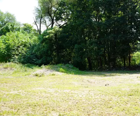 Exterior - 433 E South St, Jackson, MI 49203 photo 1 of 7