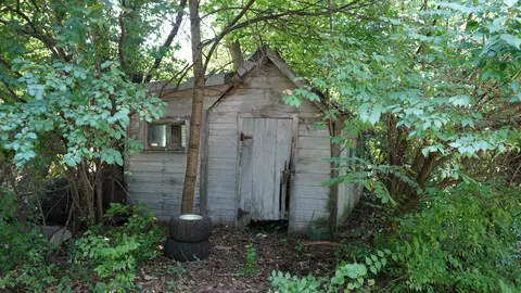 Exterior - 433 E South St, Jackson, MI 49203 photo 6 of 7