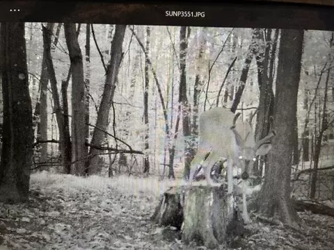 Other - 6242 E 88th St, Newaygo, MI 49337 photo 6 of 9