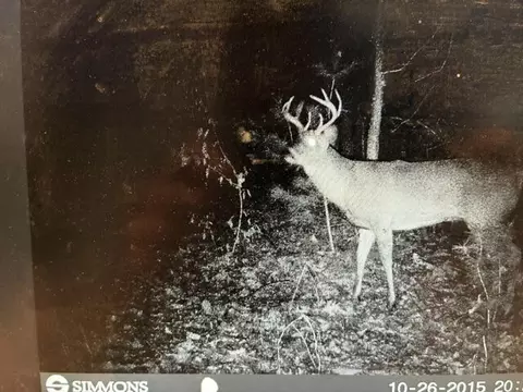 Other - 6242 E 88th St, Newaygo, MI 49337 photo 8 of 9