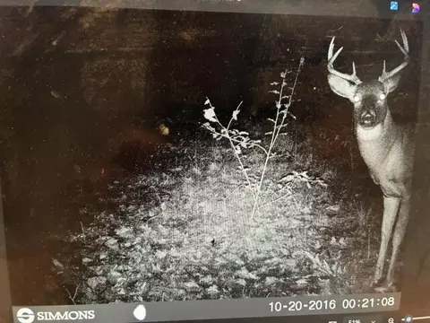 Other - 6242 E 88th St, Newaygo, MI 49337 photo 7 of 9
