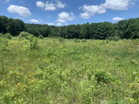 Other - lot1 E Bear Paw Dr, White Cloud, MI 49349 photo 4 of 16