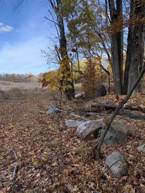 Other - lot1 E Bear Paw Dr, White Cloud, MI 49349 photo 15 of 16
