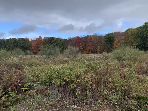 Exterior - lot1 E Bear Paw Dr, White Cloud, MI 49349 photo 4 of 4