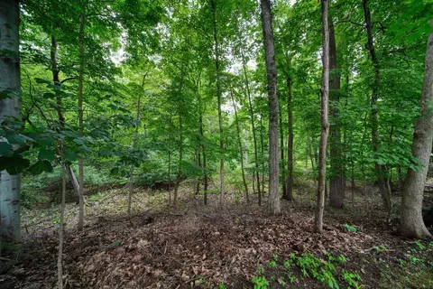 Exterior - 5168 W Bluestone St, Jackson, MI 49201 photo 16 of 21