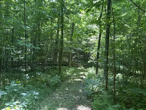 Exterior - Stuck Road, Marcellus, MI 49067 photo 5 of 5