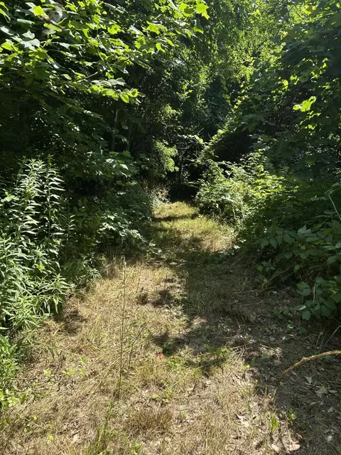 Other - Stuck Road, Marcellus, MI 49067 photo 20 of 24