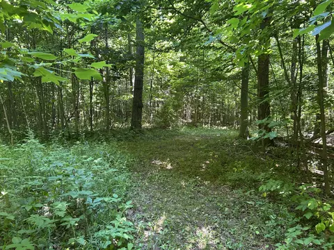 Exterior - Stuck Road, Marcellus, MI 49067 photo 4 of 5
