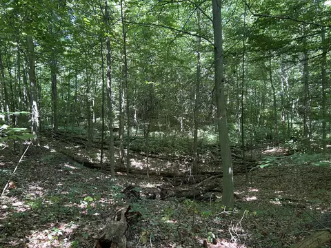 Exterior - Stuck Road, Marcellus, MI 49067 photo 3 of 5