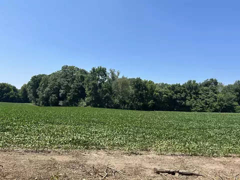 Other - Stuck Road, Marcellus, MI 49067 photo 19 of 24