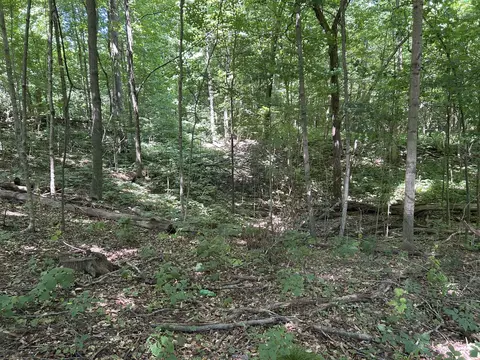 Exterior - Stuck Road, Marcellus, MI 49067 photo 1 of 5