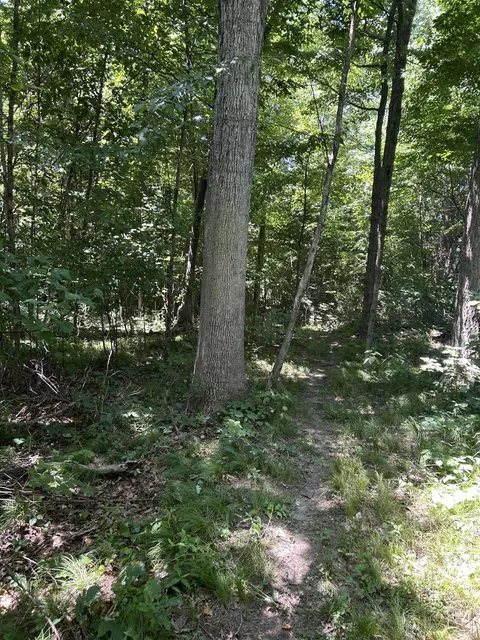 Other - Stuck Road, Marcellus, MI 49067 photo 18 of 24