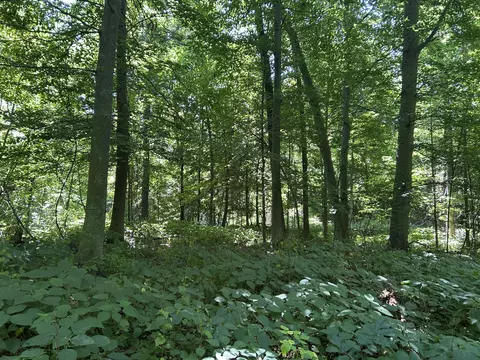 Other - Stuck Road, Marcellus, MI 49067 photo 21 of 24