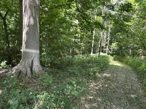 Other - Stuck Road, Marcellus, MI 49067 photo 12 of 24